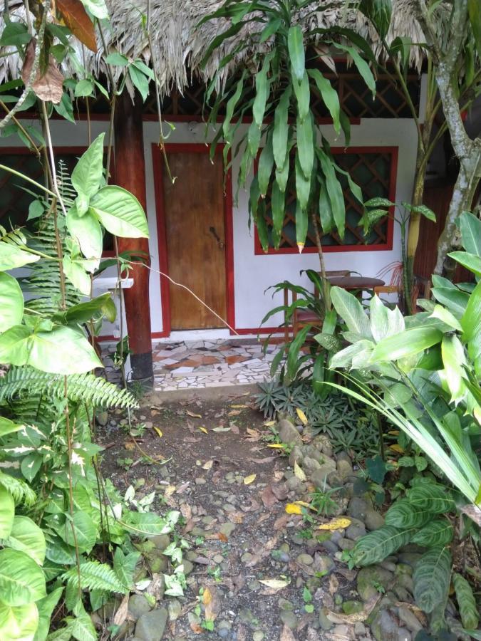 Puerto Viejo de Talamanca Cabinas Talamanca Sa酒店 外观 照片