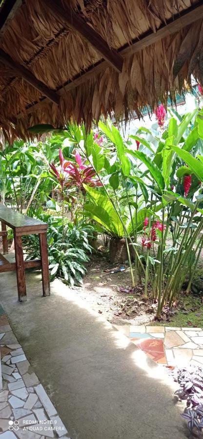 Puerto Viejo de Talamanca Cabinas Talamanca Sa酒店 外观 照片